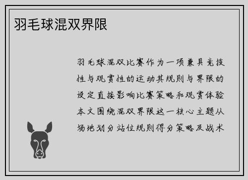 羽毛球混双界限